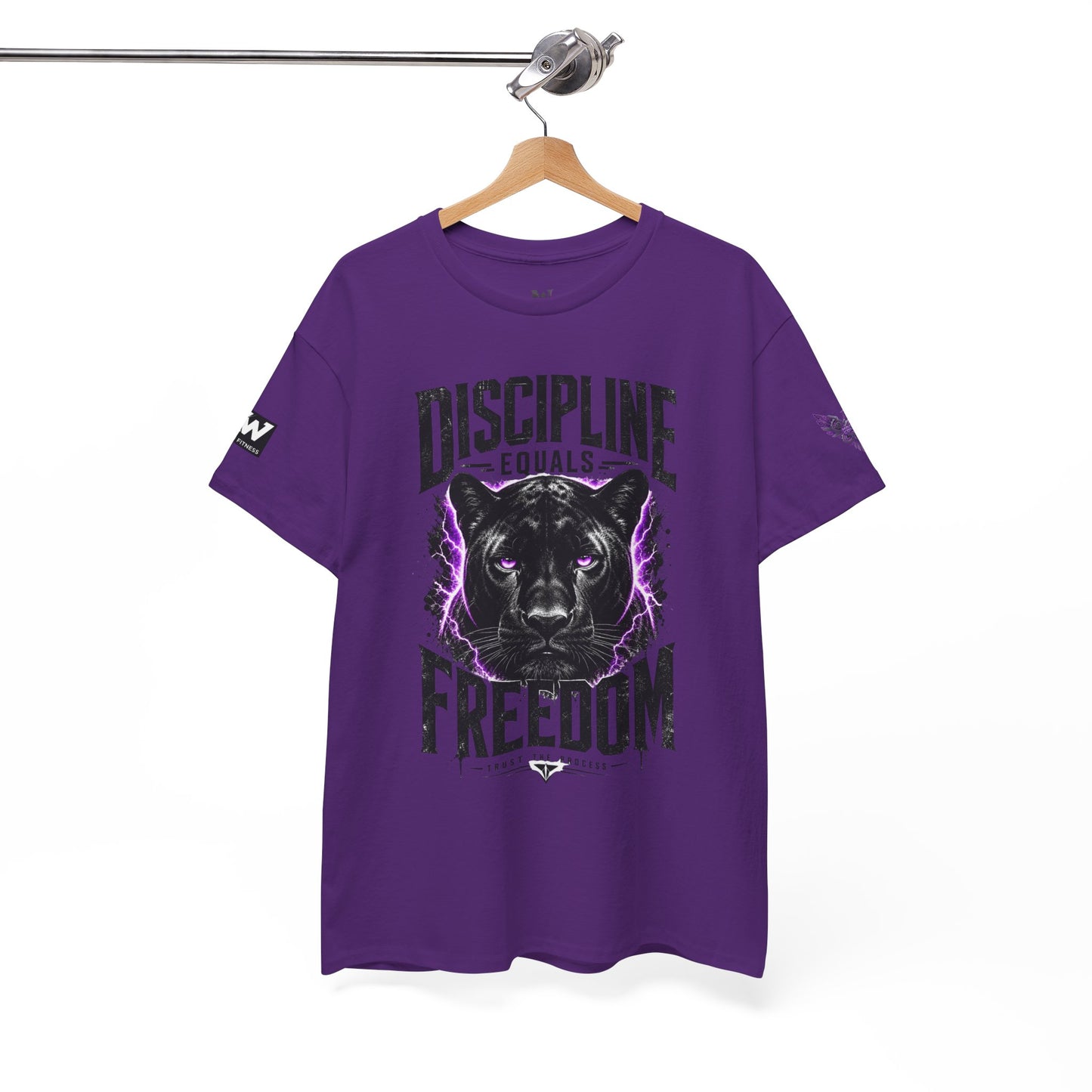 Discipline Equals Freedom Panther Tee — "Every Crack Lets the Light Out" Motivational Graphic T-Shirt