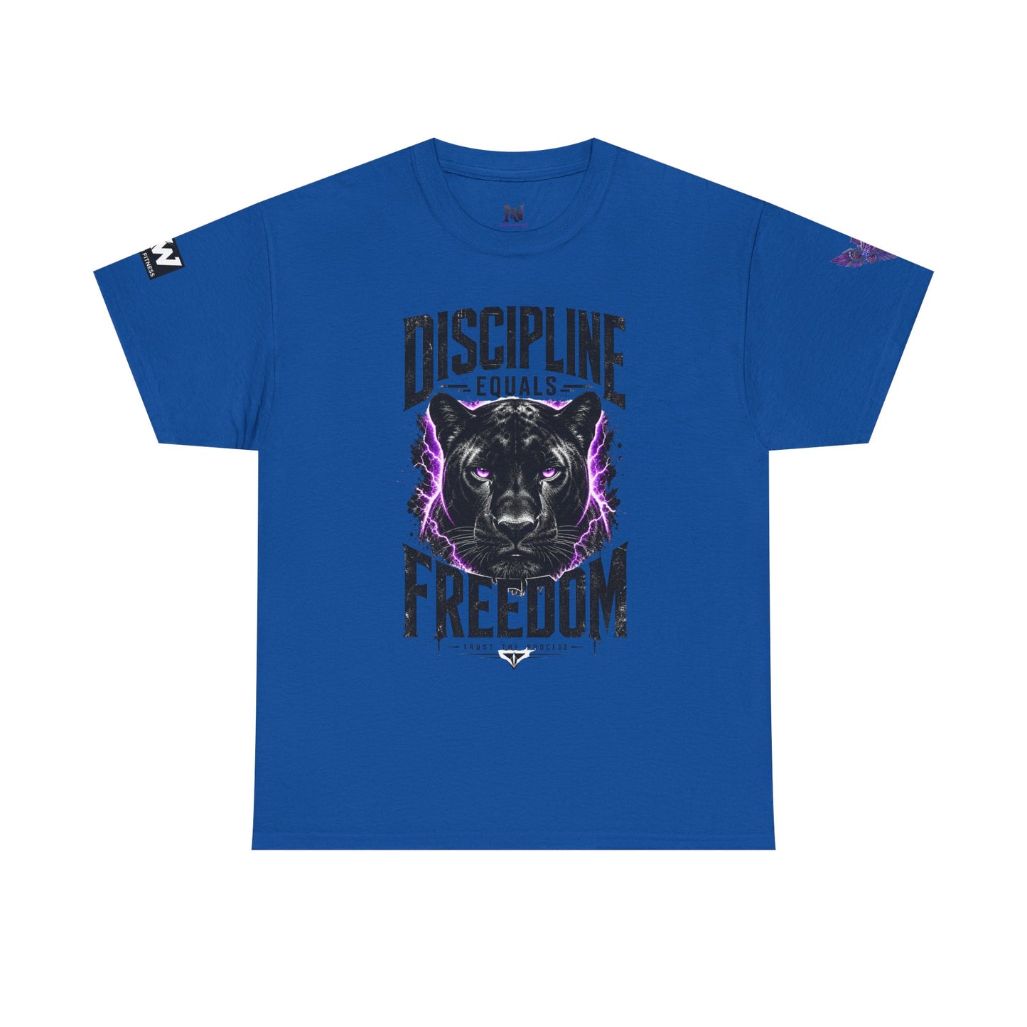 Discipline Equals Freedom Panther Tee — "Every Crack Lets the Light Out" Motivational Graphic T-Shirt