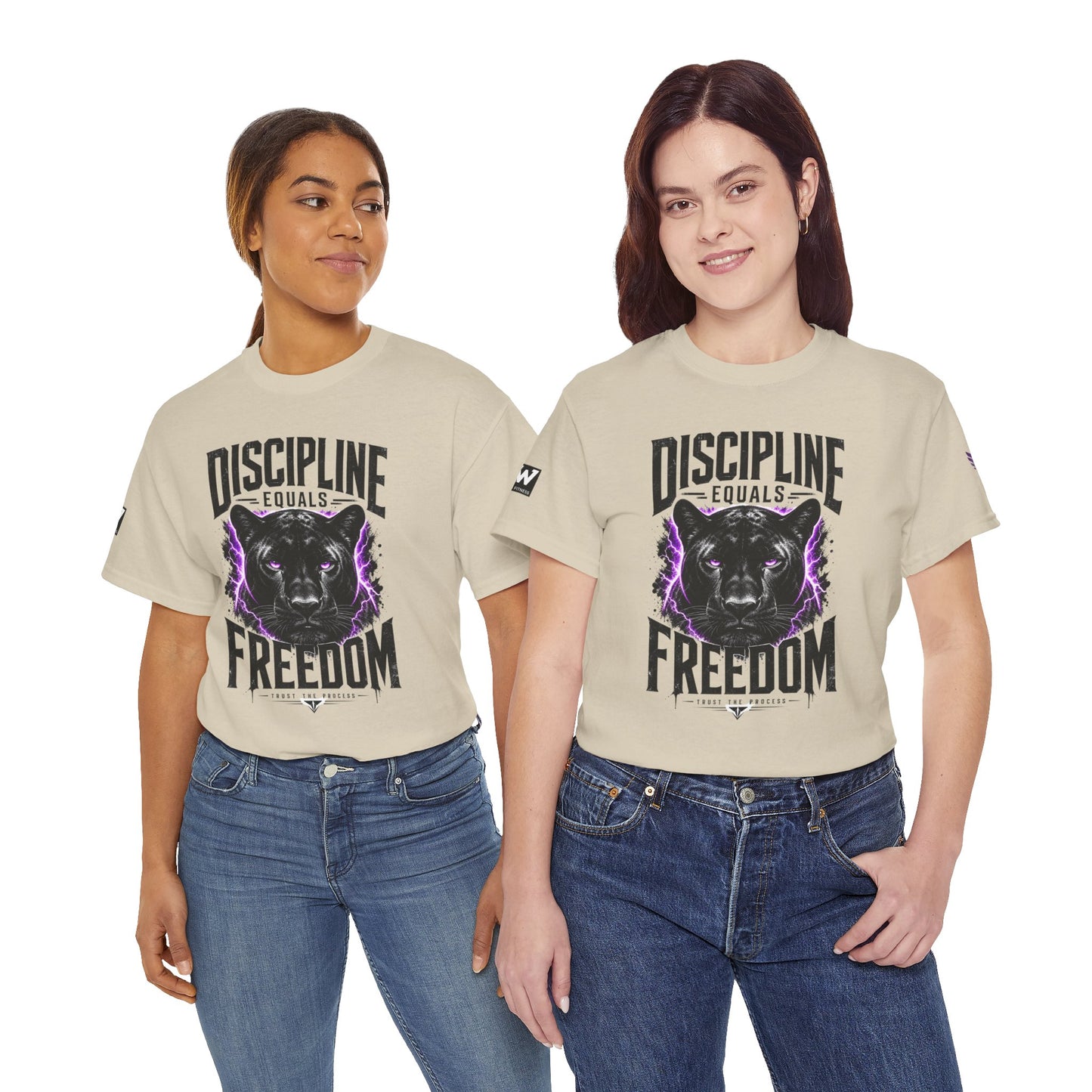 Discipline Equals Freedom Panther Tee — "Every Crack Lets the Light Out" Motivational Graphic T-Shirt