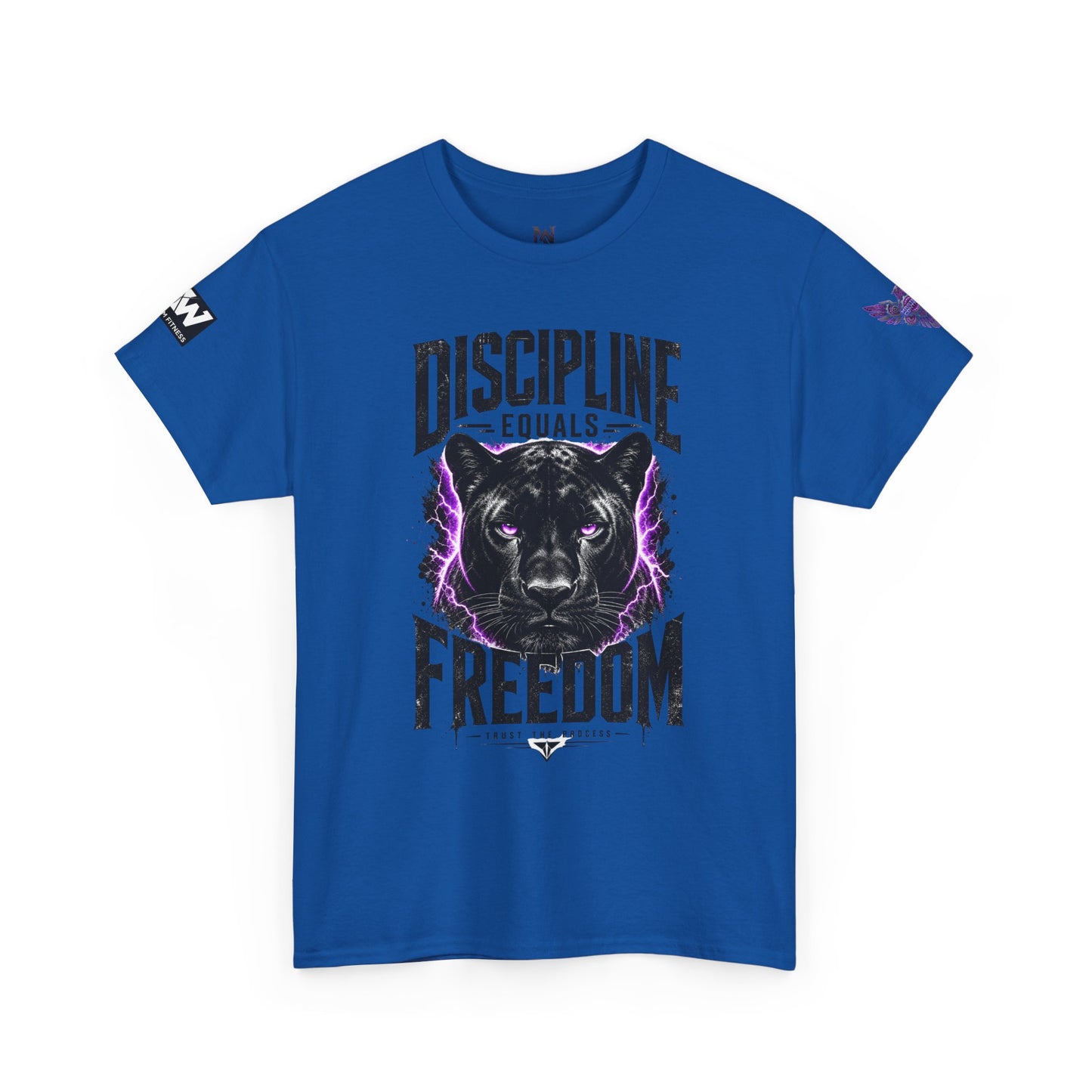 Discipline Equals Freedom Panther Tee — "Every Crack Lets the Light Out" Motivational Graphic T-Shirt