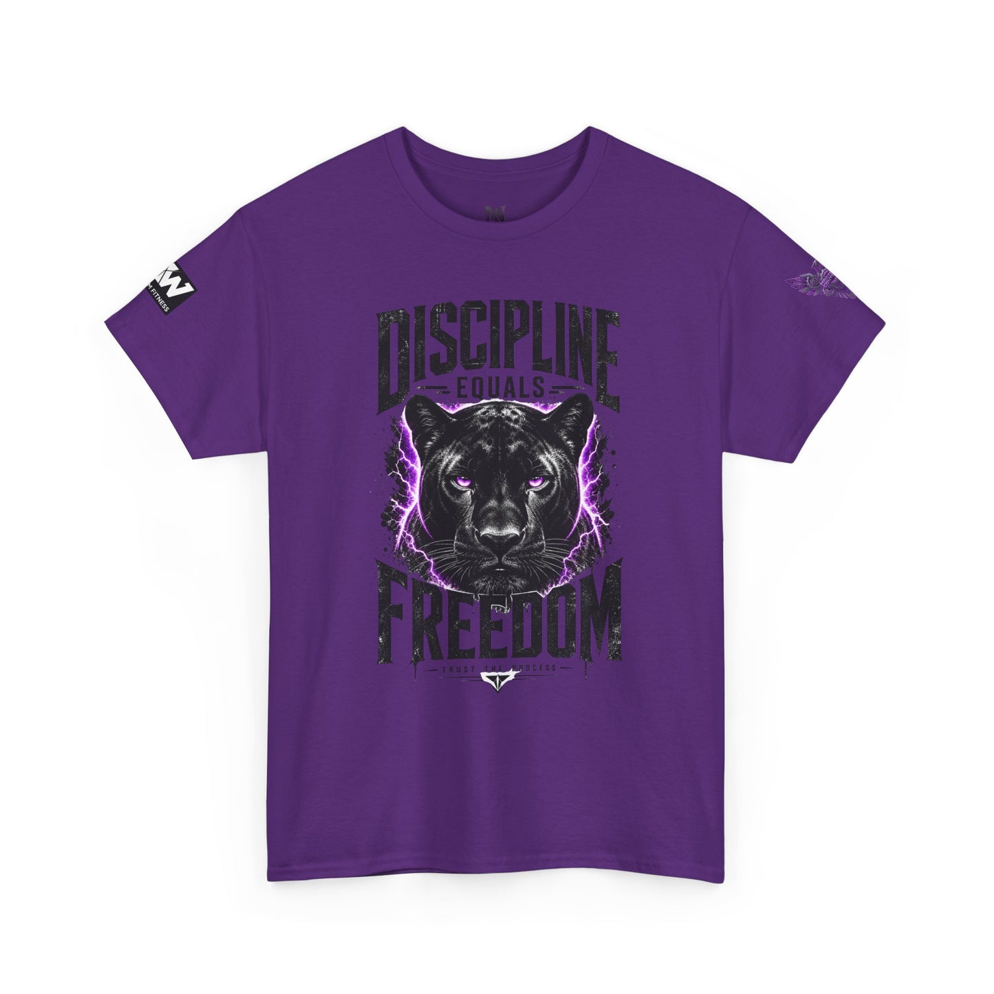 Discipline Equals Freedom Panther Tee — "Every Crack Lets the Light Out" Motivational Graphic T-Shirt