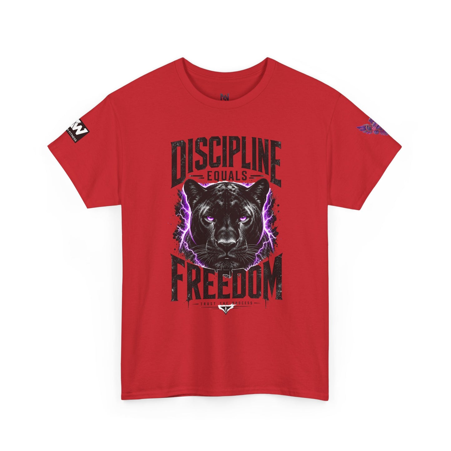 Discipline Equals Freedom Panther Tee — "Every Crack Lets the Light Out" Motivational Graphic T-Shirt