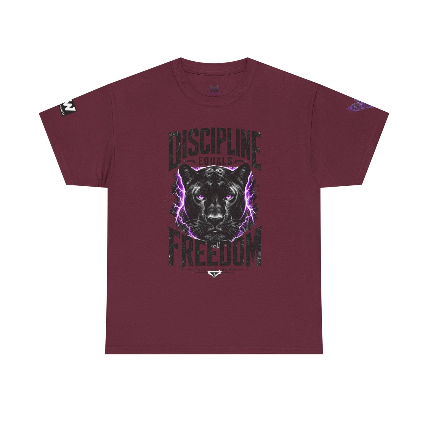 Discipline Equals Freedom Panther Tee — "Every Crack Lets the Light Out" Motivational Graphic T-Shirt