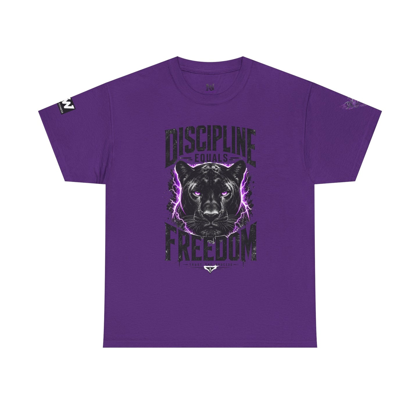 Discipline Equals Freedom Panther Tee — "Every Crack Lets the Light Out" Motivational Graphic T-Shirt