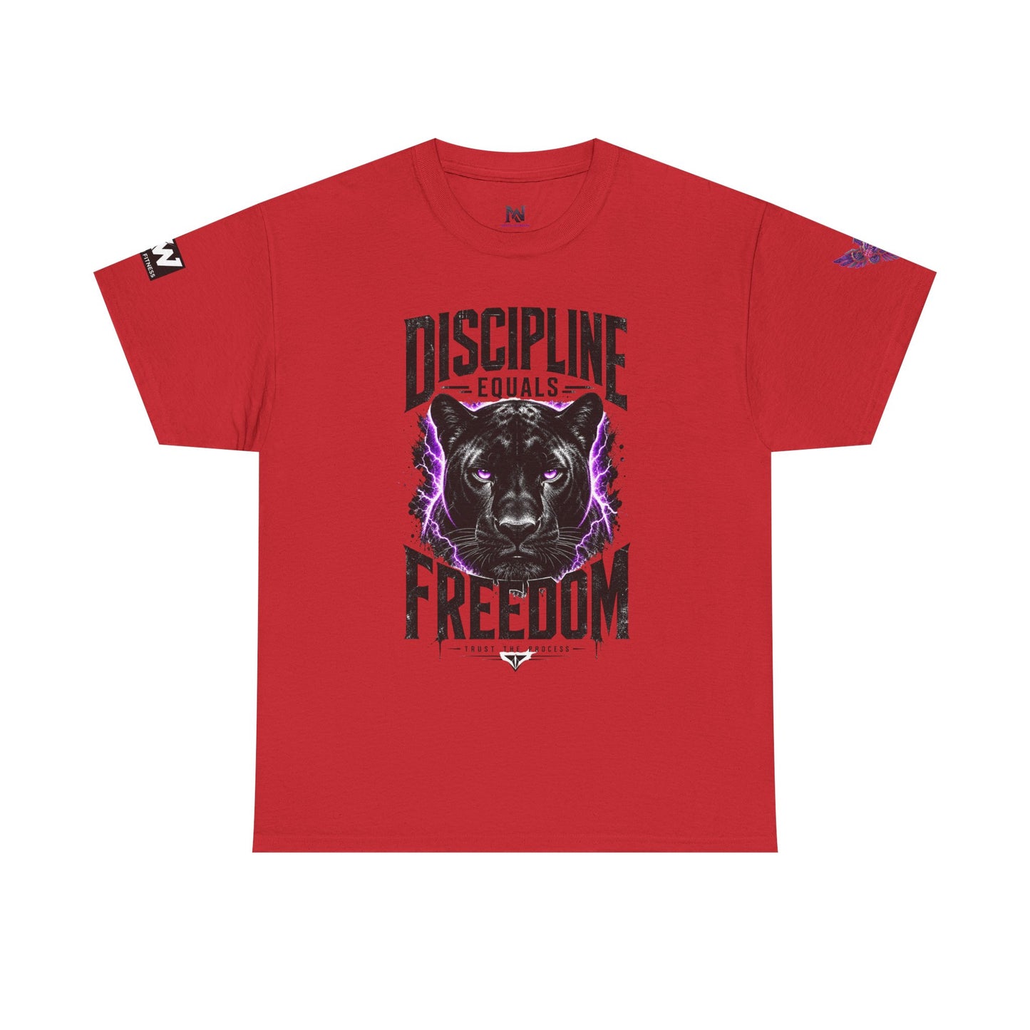 Discipline Equals Freedom Panther Tee — "Every Crack Lets the Light Out" Motivational Graphic T-Shirt