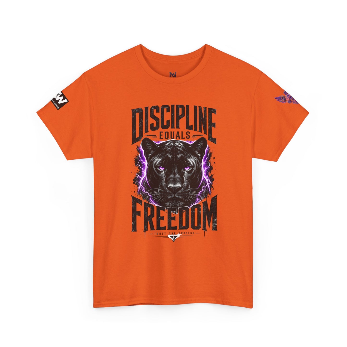 Discipline Equals Freedom Panther Tee — "Every Crack Lets the Light Out" Motivational Graphic T-Shirt